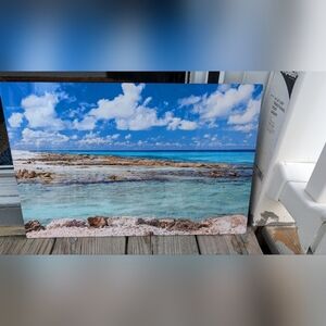 Ocean Visits Underwater Photography - Torri's Reef Metal Wall Art (NWT)